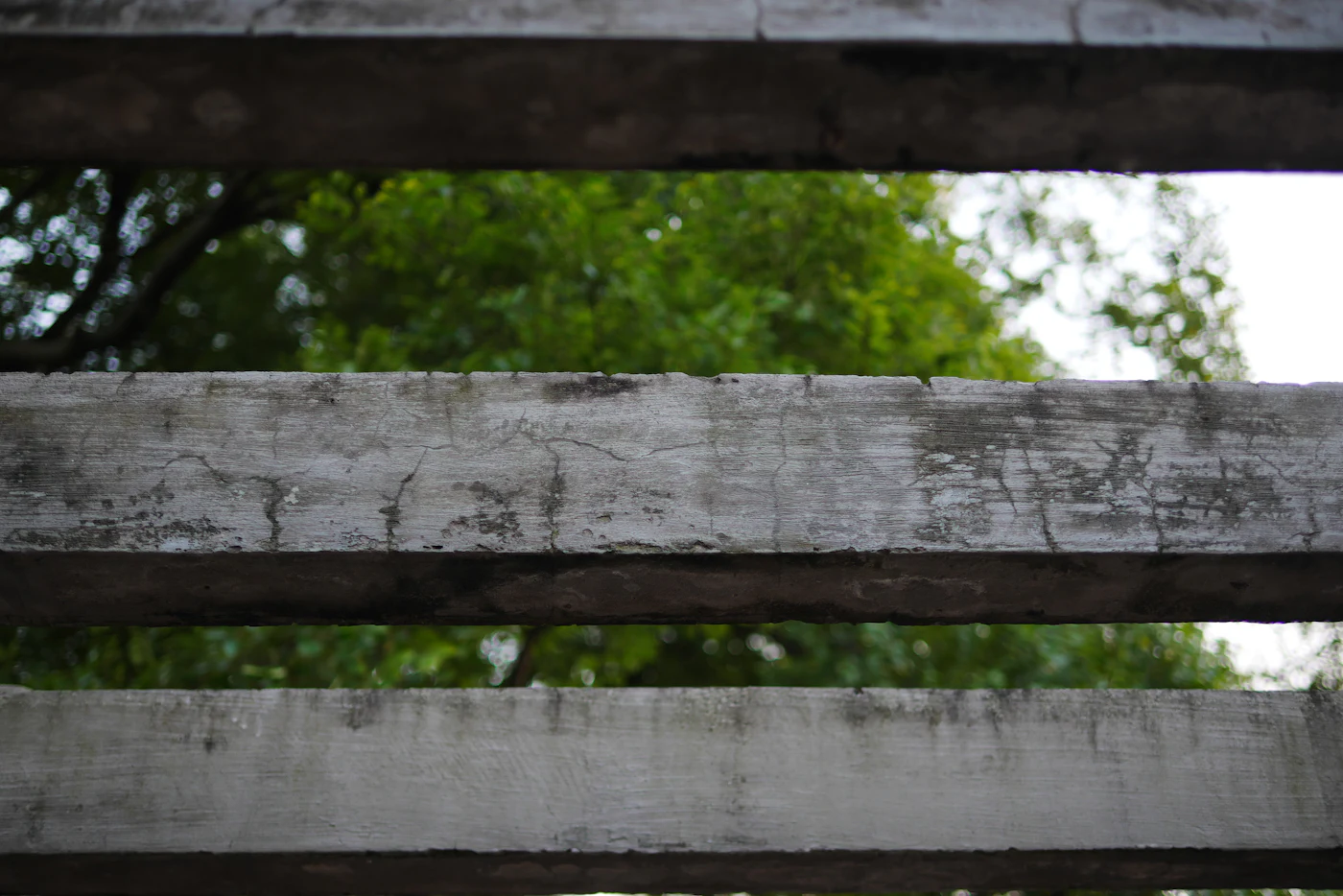 Weathered grey beams in a row, with trees behind them